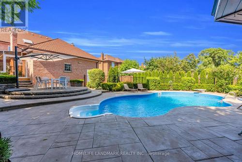193 Codsell Avenue, Toronto, ON - Outdoor With In Ground Pool