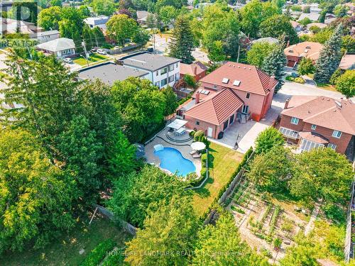 193 Codsell Avenue, Toronto, ON - Outdoor With In Ground Pool