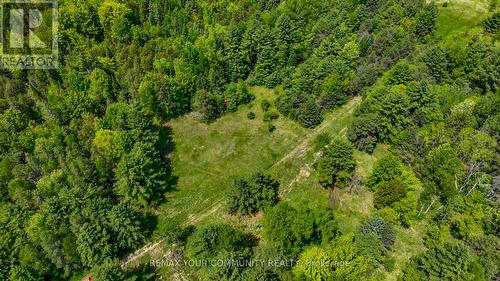 574 Zephyr Rd, Uxbridge, ON 
