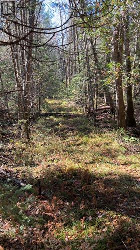 Con 1 Lot 4, Bancroft, ON 