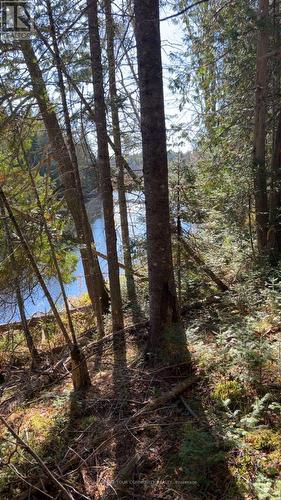 Con 1 Lot 4, Bancroft, ON 