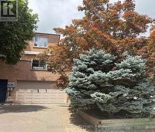 133 STILLWATER CRESCENT Toronto, ON M2R 3S3