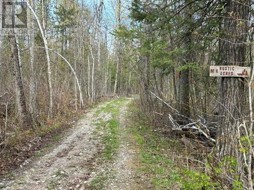 92 BESSIE AVENUE N  Trent Lakes, ON K0M 1A0
