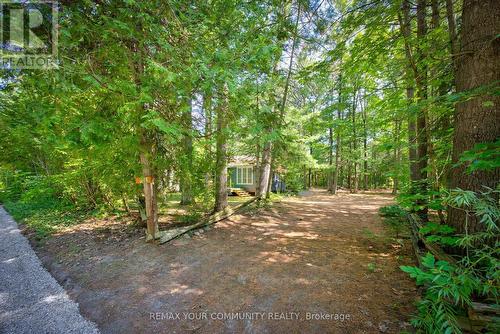 341 Tiny Beaches Road N, Tiny, ON - Outdoor