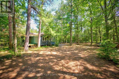 341 Tiny Beaches Road N, Tiny, ON - Outdoor