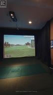 golf simulator - 