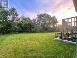 Backyard - Rear EP Greenspace - 
