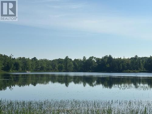 81 Stoney Road, Mckellar, ON 