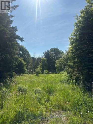 81 Stoney Road, Mckellar, ON 