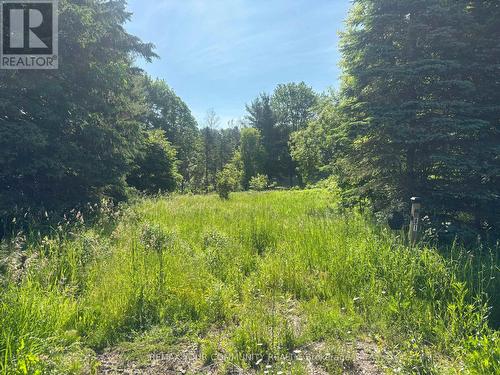 81 Stoney Road, Mckellar, ON 