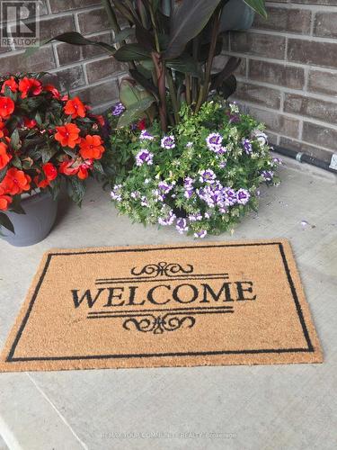 38 Utter Place, Hamilton, ON - Outdoor