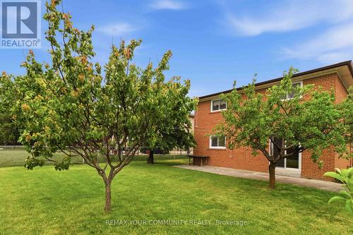 17 Harris Crescent, Vaughan, ON - Outdoor