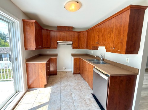 Cuisine - 1618 Rue Notre-Dame-De-Fatima, Laval (Duvernay), QC - Indoor Photo Showing Kitchen With Double Sink