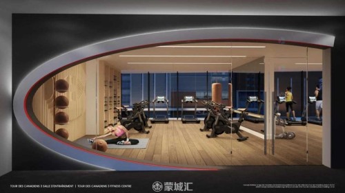 Salle d'exercice - 3203-1288 Rue St-Antoine O., Montréal (Ville-Marie), QC - Indoor