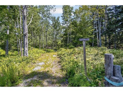 230 Mealey Rd, Pennfield, NB 
