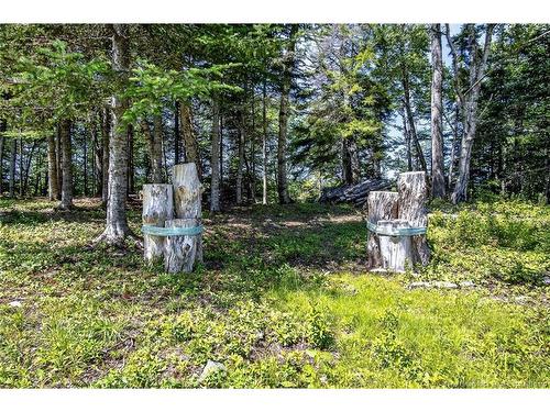 230 Mealey Rd, Pennfield, NB 