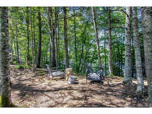 230 Mealey Rd, Pennfield, NB 