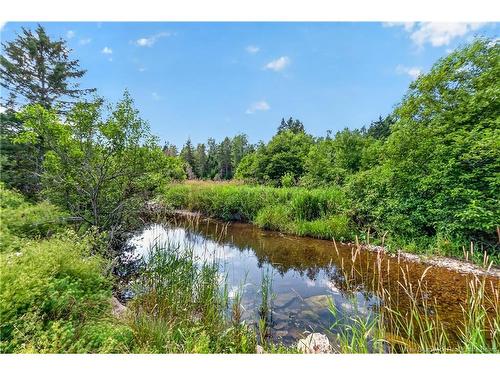 397 Route 895, Elgin, NB 