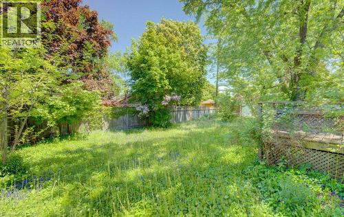 Expansive backyard featuring a natural grass lawn, mature trees providing ample shade, a wood privacy fence, and a wood lattice deck - 80 Lower Canada Crescent, Kitchener, ON - Outdoor