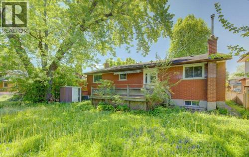 Expansive rear yard featuring a large mature tree, brick exterior, wood deck, and a detached storage shed - 80 Lower Canada Crescent, Kitchener, ON - Outdoor