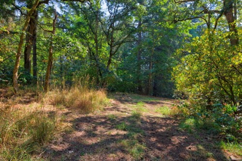 5805 Jaynes Rd, Duncan, BC 
