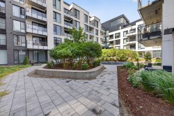 Courtyard - 