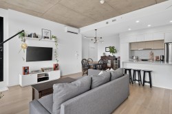 Overall view - 
