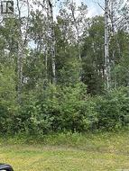 9 Wilson CRESCENT Delaronde Lake, SK S0J 0E0