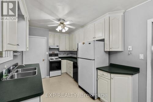 8800 Champlain Drive, Niagara Falls (Chippawa), ON - Indoor Photo Showing Kitchen With Double Sink