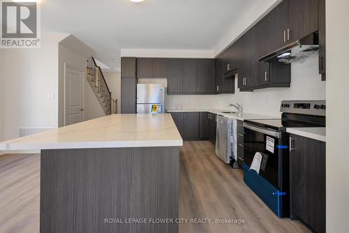37 Gledhill Crescent, Cambridge, ON - Indoor Photo Showing Kitchen With Double Sink