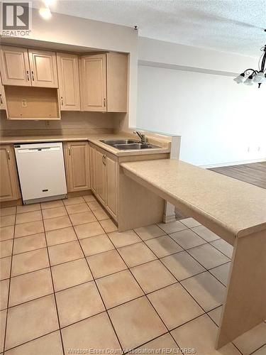 1995 Normandy Unit# 301, Lasalle, ON - Indoor Photo Showing Kitchen With Double Sink