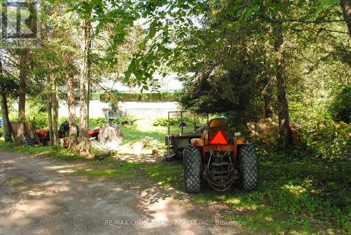 60 BROOK ROAD  Kawartha Lakes, ON K0M 1N0