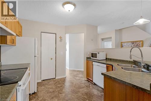 102 Chateau Crescent, Cambridge, ON - Indoor Photo Showing Kitchen With Double Sink
