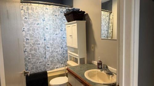 700 W Francis St West, Thunder Bay, ON - Indoor Photo Showing Bathroom