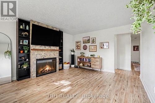 Living Room - 1275 Woodside Drive, Ottawa, ON - Indoor Photo Showing Living Room With Fireplace