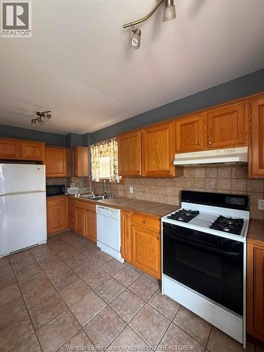 1058 Moy, Windsor, ON - Indoor Photo Showing Kitchen With Double Sink