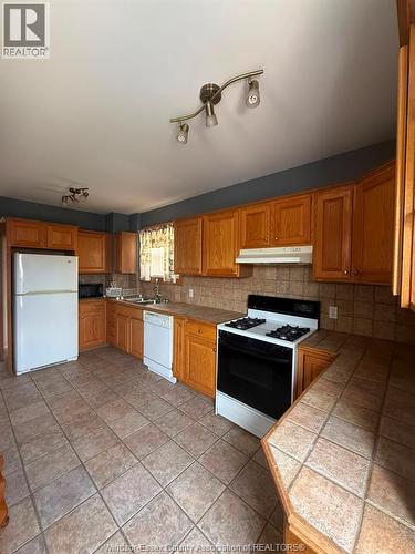 1058 Moy, Windsor, ON - Indoor Photo Showing Kitchen With Double Sink