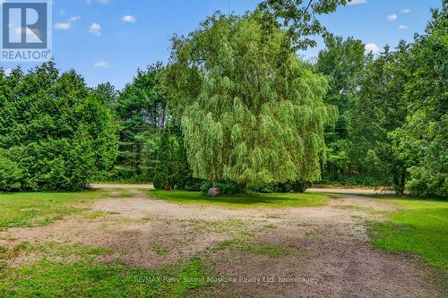 1011 Orange Lodge Road, Muskoka Lakes (Medora), ON - Outdoor