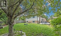 Expansive backyard featuring a mature tree, a stone-edged fire pit, a paved patio area, and perimeter fencing - 