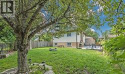 Expansive backyard featuring a mature tree, manicured lawn, and a stone fire pit - 