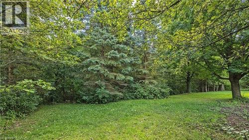 Expansive outdoor area featuring mature trees and a verdant lawn - 143 Grenfell Place, London, ON - Outdoor