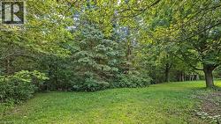 Expansive outdoor area featuring mature trees and a verdant lawn - 