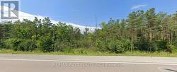 15349 ON-12 HIGHWAY Tay, ON L0K 1R0