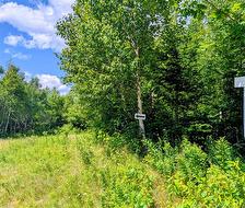 Lot 8 Golden Ridge RD East Knowlesville, NB E7M 3R8
