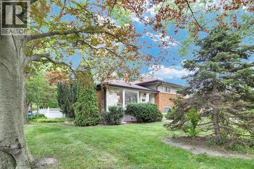 465 Greendale Drive, Windsor, ON - Outdoor