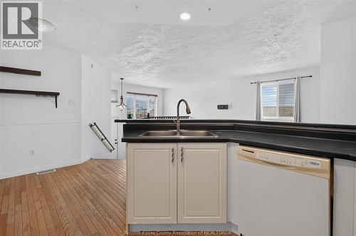 828 Michael Drive, Tecumseh, ON - Indoor Photo Showing Kitchen With Double Sink