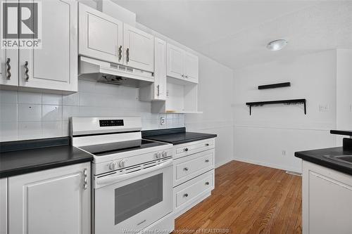 828 Michael Drive, Tecumseh, ON - Indoor Photo Showing Kitchen