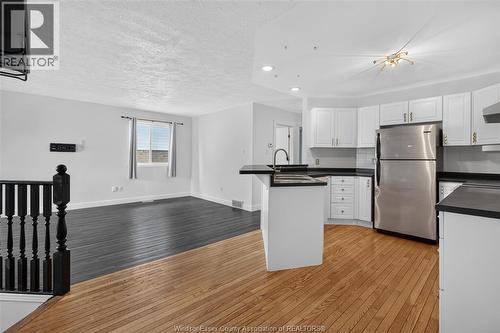 828 Michael Drive, Tecumseh, ON - Indoor Photo Showing Kitchen