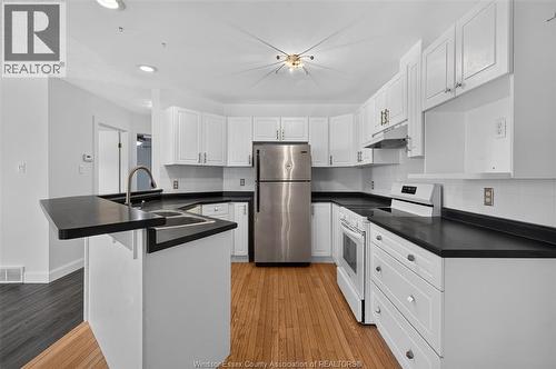 828 Michael Drive, Tecumseh, ON - Indoor Photo Showing Kitchen