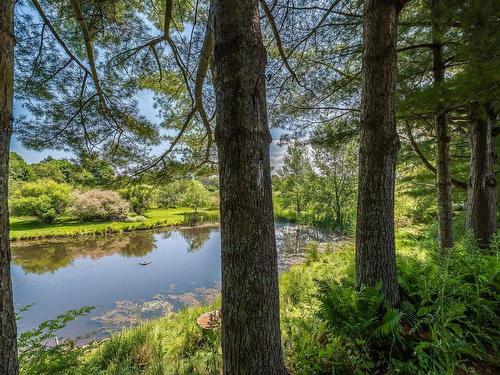 45 Longworth Avenue, Truro, NS - Outdoor With Body Of Water With View